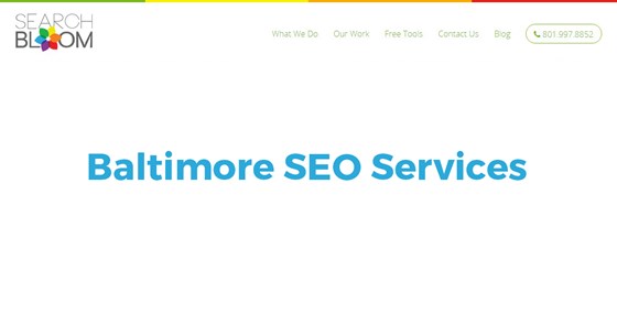 Baltimore Seo Company: Alan Nielson